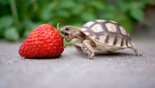 Lam theo 8 chu nay cua danh y, chac chan ban song den 100 tuoi