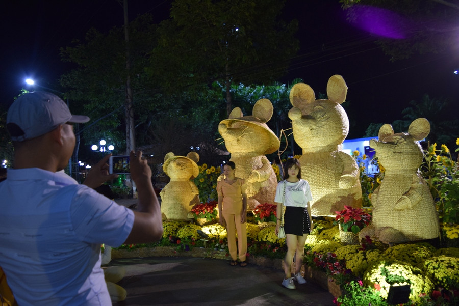 Đường hoa xuân TP Cao Lãnh với nhiều sắc màu phong phú và sáng tạo.