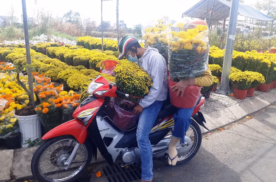 Tết đến, ai cũng tranh thủ mua hoa kiểng về trang trí.