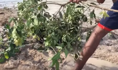 Thanh nien dem thau nhua ra bo song chon xuong, ai cung ha hoc mom khi thay ket qua - Anh 14