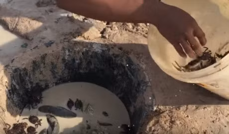 Thanh nien dem thau nhua ra bo song chon xuong, ai cung ha hoc mom khi thay ket qua - Anh 17