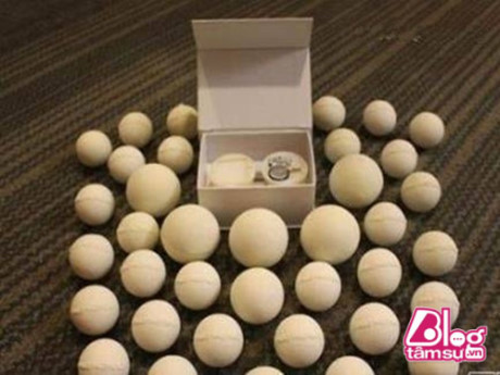 Đem trứng lạ trên biển về nhà ấp, 2 người đàn ông phải vào tù chỉ vì điều này - Ảnh 4 Dem trung la tren bien ve nha ap, 2 nguoi dan ong phai vao tu chi vi dieu nay - Anh 4