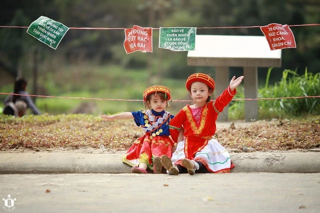 Xôn xao bộ ảnh ‘Hãy bảo vệ hoa tam giác mạch’