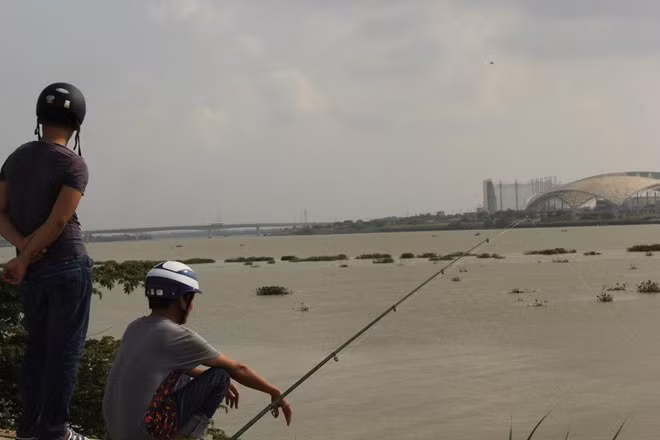 Theo người dân thì hiện nay vẫn chưa có cách nào để thu gom lục bình. Theo người dân thì hiện nay vẫn chưa có cách nào để thu gom lục bình.