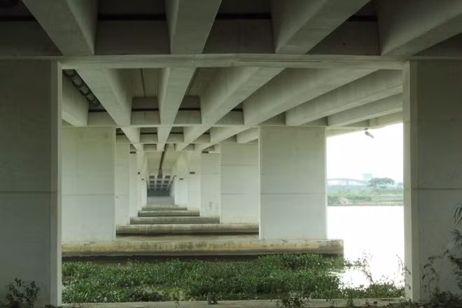 Các gầm cầu lục bình ken dày đặc Các gầm cầu lục bình ken dày đặc