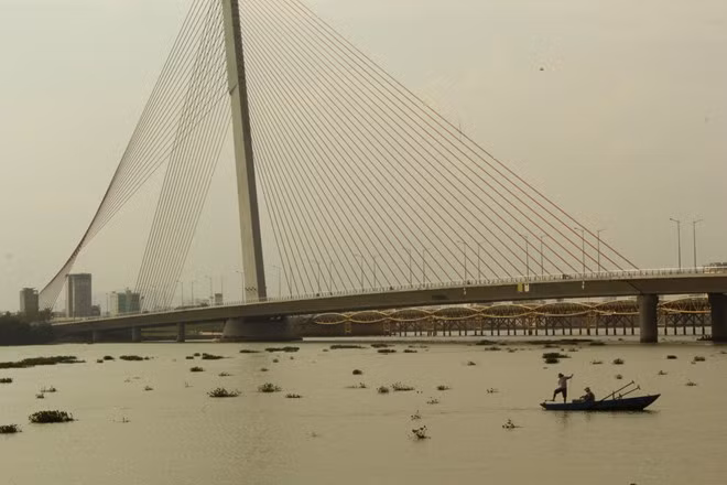 Ghi nhận tình trạng lục bình trôi từng đám lớn đoạn chảy qua cầu Hàm Rồng, cầu Sông Hàn và cầu Trần Thị Lý gây mất mỹ quan và ảnh hưởng đến công việc đánh bắt thủy sản của người dân địa phương, đặc biệt vào ban đêm, nhiều ngư lưới cụ của người dân liên tục bị mắc vào lục bình. Ghi nhận tình trạng lục bình trôi từng đám lớn đoạn chảy qua cầu Hàm Rồng, cầu Sông Hàn và cầu Trần Thị Lý gây mất mỹ quan và ảnh hưởng đến công việc đánh bắt thủy sản của người dân địa phương, đặc biệt vào ban đêm, nhiều ngư lưới cụ của người dân liên tục bị mắc vào lục bình.