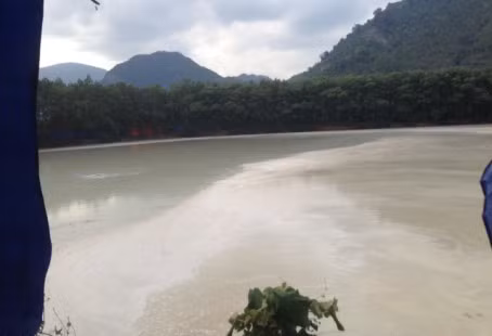 Thanh Hoa: Nha may san Ba Thuoc bi xu phat 310 trieu dong - Anh 2