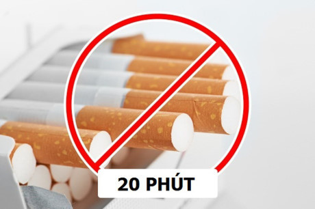 Những thói quen phản khoa học của người Việt sau bữa ăn - Ảnh 5 Nhung thoi quen phan khoa hoc cua nguoi Viet sau bua an - Anh 5