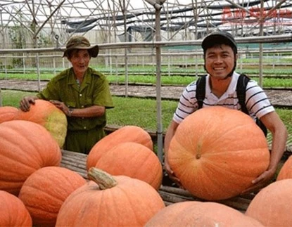 Điểm danh quả “khủng” trên đất Việt