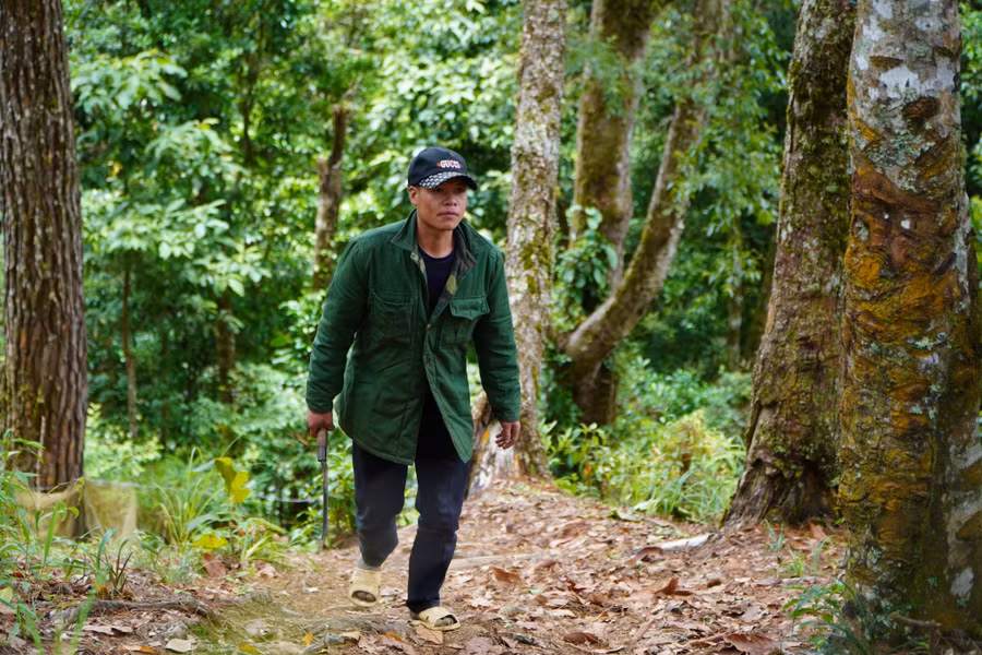 Anh A Dịp đi kiểm tra những hốc tổ ong của mình.