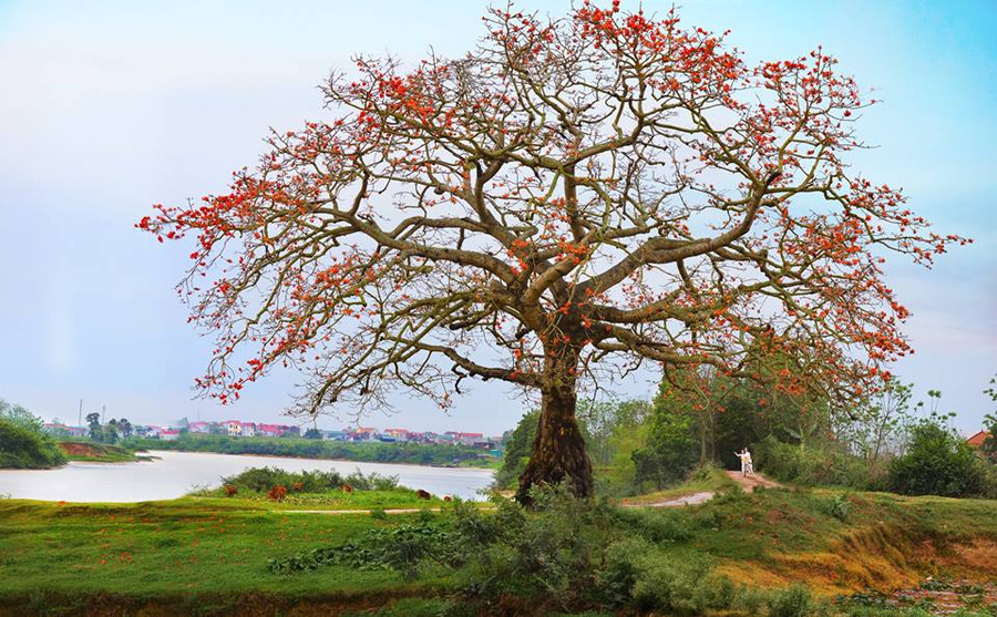 Ảnh minh họa ITN.