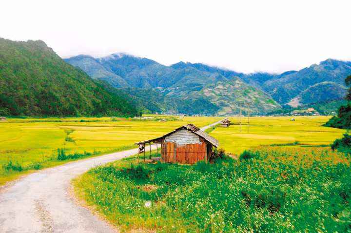 Ảnh minh họa ITN.