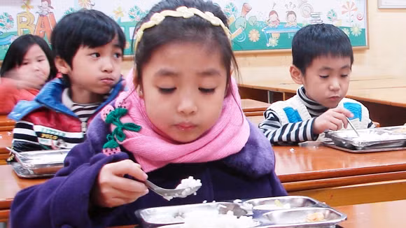 Đẩy mạnh thực hiện quản lý về an toàn thực phẩm trong trường học