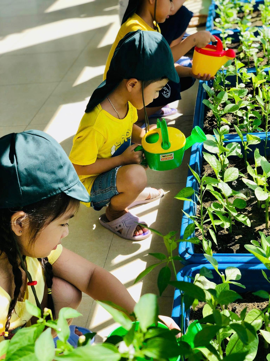 Dọc các hành lang lớp học của Trường Mầm non Ngọc Lan được đặt các chậu nhựa để làm vườn rau của bé, tạo những góc xanh, trẻ được học các kỹ năng chăm sóc cây. Dọc các hành lang lớp học của Trường Mầm non Ngọc Lan được đặt các chậu nhựa để làm vườn rau của bé, tạo những góc xanh, trẻ được học các kỹ năng chăm sóc cây.