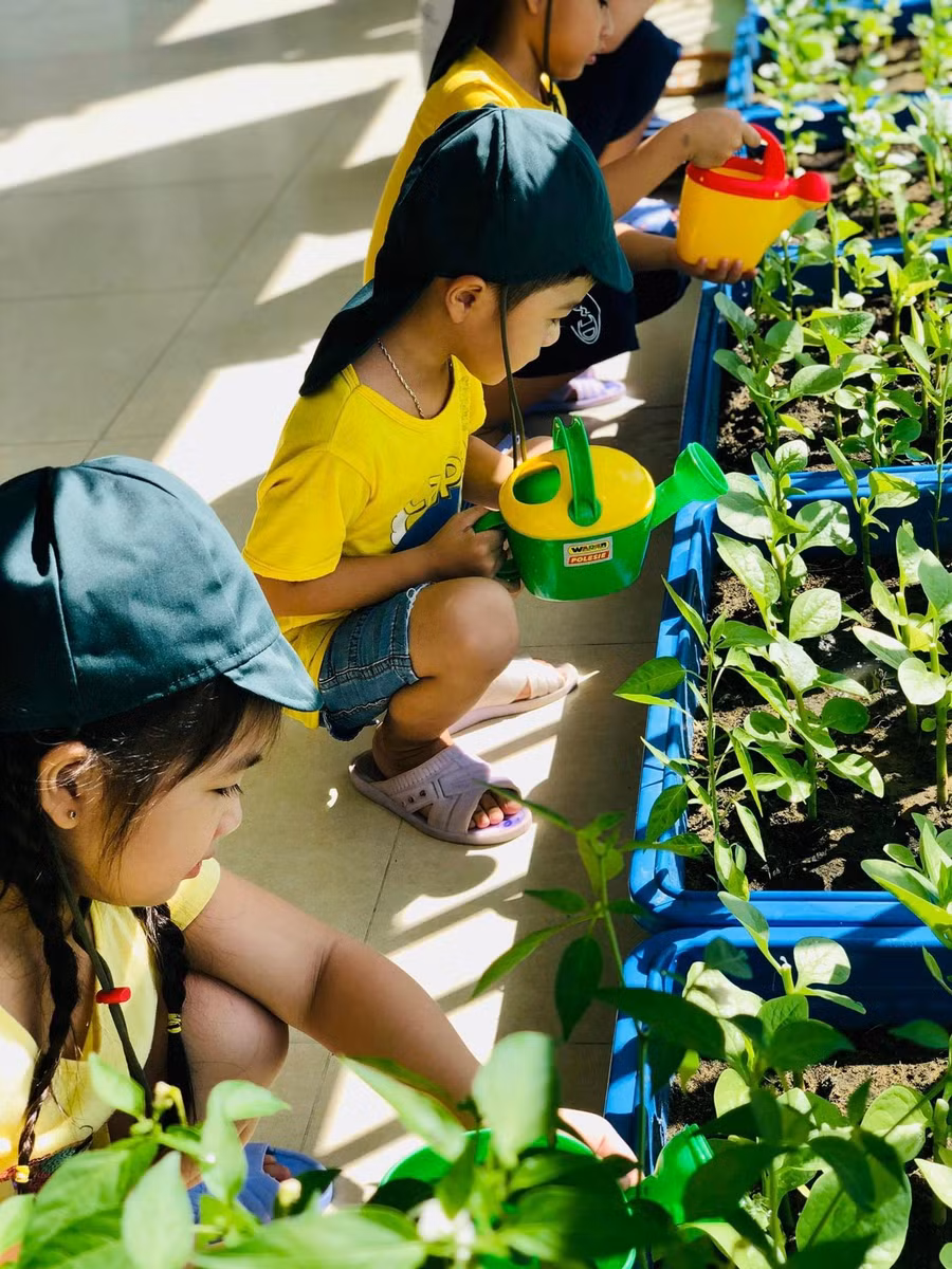 Dọc các hành lang lớp học của Trường Mầm non Ngọc Lan được đặt các chậu nhựa để làm vườn rau của bé, tạo những góc xanh, trẻ được học các kỹ năng chăm sóc cây. Dọc các hành lang lớp học của Trường Mầm non Ngọc Lan được đặt các chậu nhựa để làm vườn rau của bé, tạo những góc xanh, trẻ được học các kỹ năng chăm sóc cây.