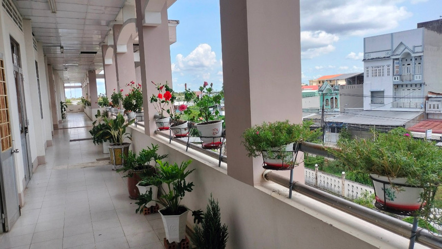 Không gian xanh tại Trường THPT Nguyễn Việt Khái. Ảnh: TG Không gian xanh tại Trường THPT Nguyễn Việt Khái. Ảnh: TG