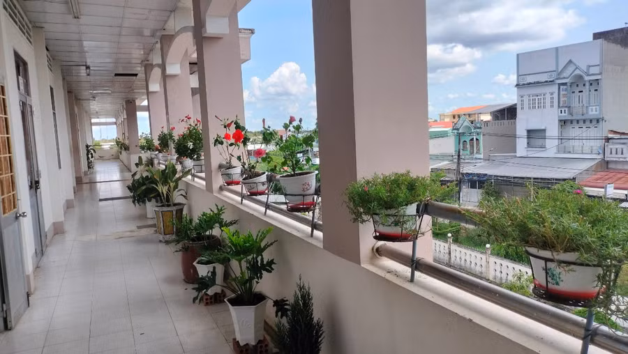 Không gian xanh tại Trường THPT Nguyễn Việt Khái. Ảnh: TG