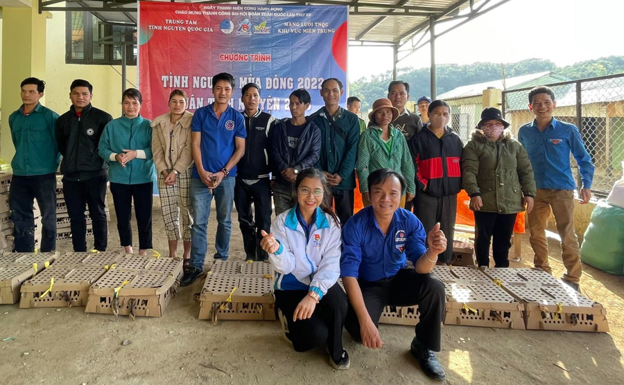 Đại diện các CLB tình nguyện của Trung tâm Tình nguyện quốc gia khu vực miền Trung tặng gà giống cho các hộ dân ở Phước Sơn (Quảng Nam). Đại diện các CLB tình nguyện của Trung tâm Tình nguyện quốc gia khu vực miền Trung tặng gà giống cho các hộ dân ở Phước Sơn (Quảng Nam).