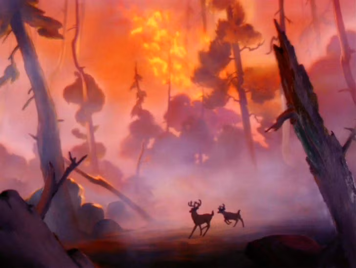 Những dấu hiệu dự báo về các hiện tượng tự nhiên mà chúng ta nên biết ảnh 4