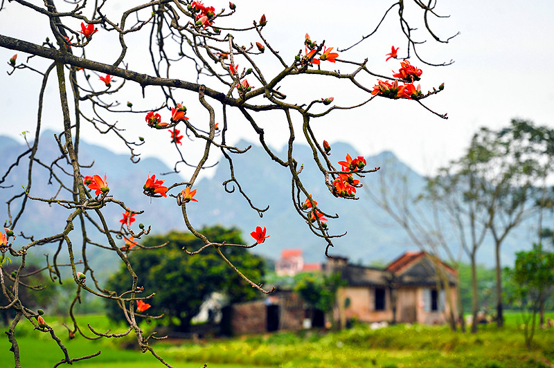 Ảnh minh họa: INT