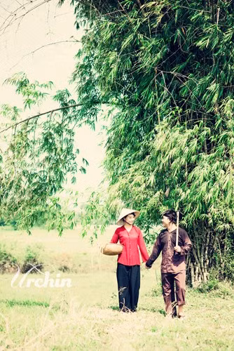 Cô dâu, chú rể hóa người nông dân tần tảo trên đồng ảnh 8