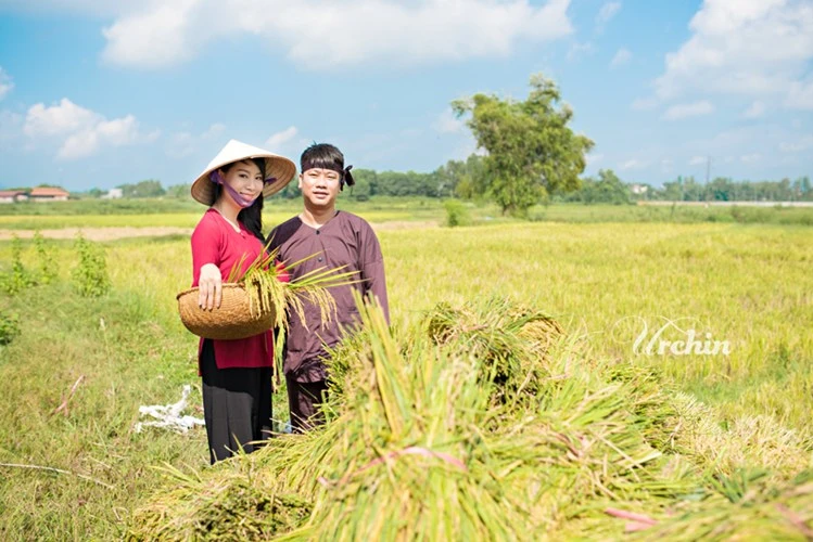 Cô dâu, chú rể hóa người nông dân tần tảo trên đồng