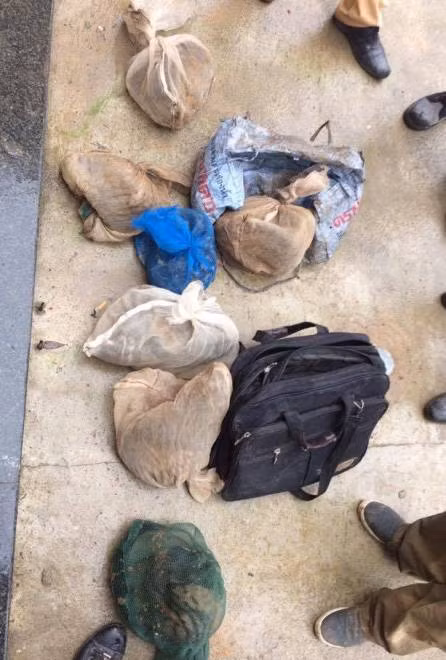 Ngang nhien ban phao lau truoc... san nha - Anh 2