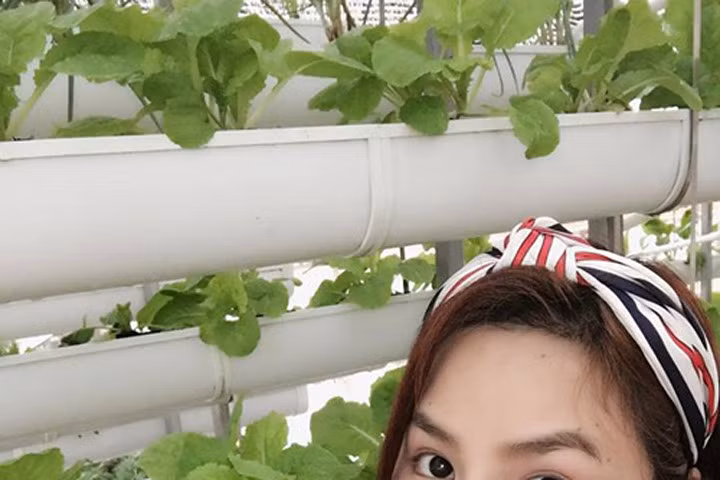 Cựu người mẫu Vũ Thu Phương trồng rau thủy canh trên sân thượng