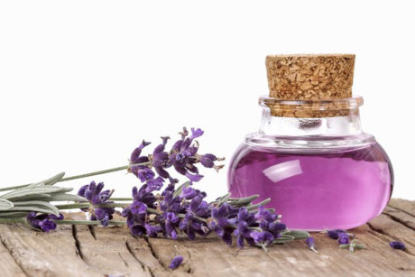 Căng thẳng và đau đầu kéo dài không còn theo đuổi bạn chỉ với 1 ly nước - Ảnh 1 Cang thang va dau dau keo dai khong con theo duoi ban chi voi 1 ly nuoc - Anh 1