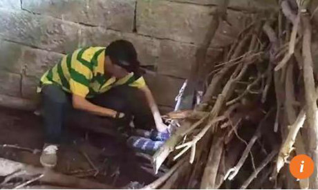 Hãi hùng phát hiện rắn hổ mang khổng lồ trong nhà - Ảnh 2 Hai hung phat hien ran ho mang khong lo trong nha - Anh 2