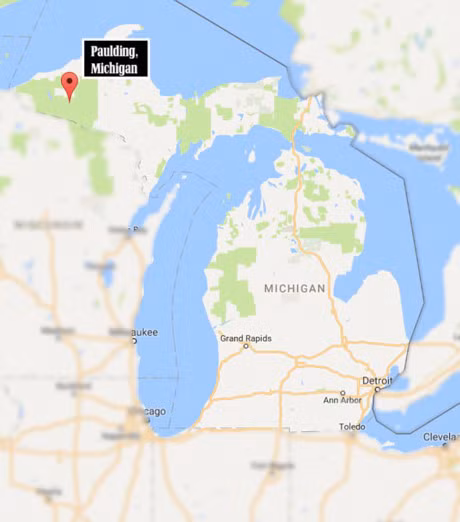 Am anh anh sang bi an suot nua the ky tai rung ram Michigan - Anh 4