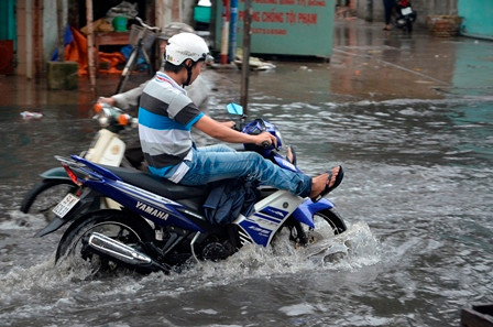 Người Sài Gòn bì bõm giữa “phố sông“ ảnh 13 Đình Thảo