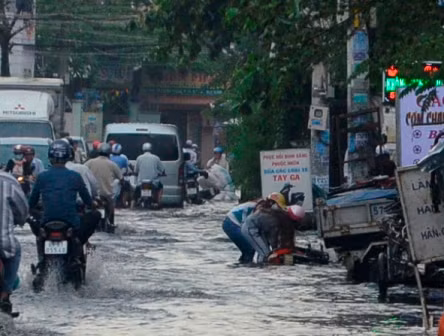 Các phương tiện đổ hàng loạt do đường ngập