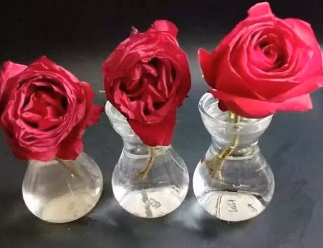 8 mẹo vặt có thế giúp bạn tiết kiệm tiền cả tháng lương