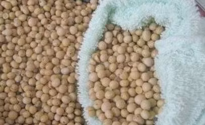 Bác sĩ tiết lộ: Cho một ít hạt đậu nành vào ruột gối, bệnh đau cổ vai gáy sẽ “biến mất” ảnh 3