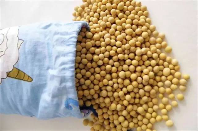 Bác sĩ tiết lộ: Cho một ít hạt đậu nành vào ruột gối, bệnh đau cổ vai gáy sẽ “biến mất” ảnh 1 Bác sĩ tiết lộ: Cho một ít hạt đậu nành vào ruột gối, bệnh đau cổ vai gáy sẽ “biến mất” ảnh 1