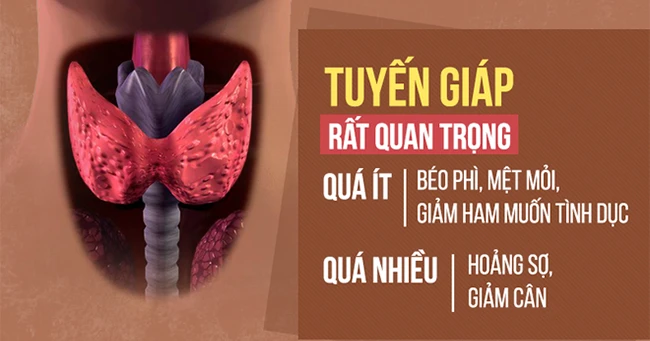 Tuyến giáp quan trọng và lớn nhất cơ thể: Tiến sĩ Mỹ chỉ cách bảo vệ hiệu quả không ngờ