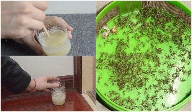 Cách diệt sạch muỗi trong nhà chỉ bằng một chút bia uống dở