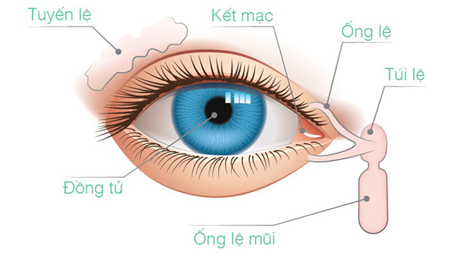 Cách tự làm “thông” 5 cái lỗ trên cơ thể: Ai áp dụng được sẽ khỏi lo bị bệnh tật tấn công