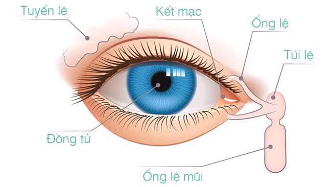 Cách tự làm “thông” 5 cái lỗ trên cơ thể: Ai áp dụng được sẽ khỏi lo bị bệnh tật tấn công