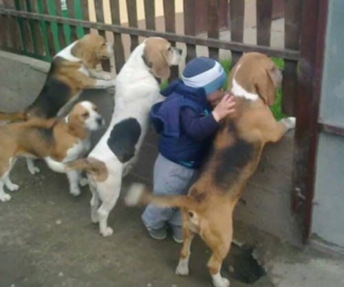 cuoi-te-ghe-27-10-cach-hon-con-gai-khong-ton-cong-2