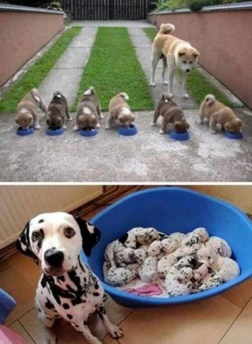 cuoi-te-ghe-27-10-cach-hon-con-gai-khong-ton-cong-5