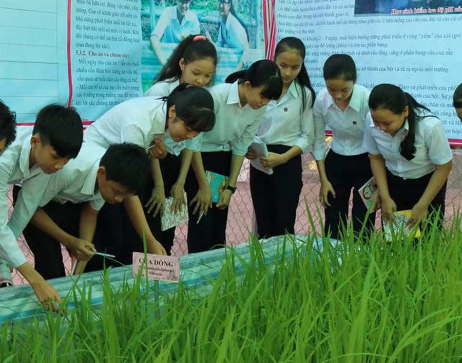 Ảnh minh họa/internet