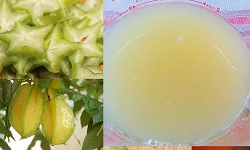 mua khe ve ep lay nuoc goi dau, sau 1 tuan bao nhieu gau cung bien mat, toc het rung - 4