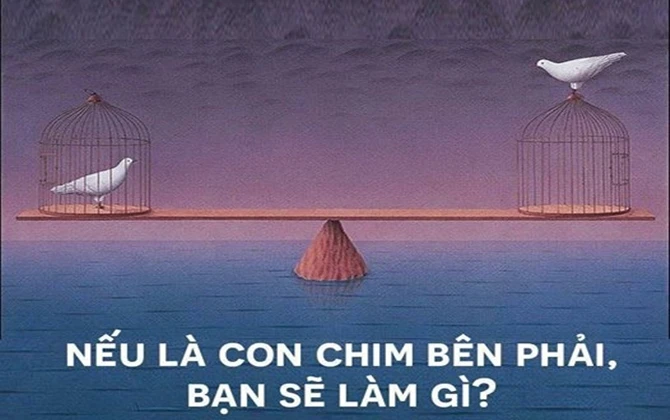 Này các chị, hạnh phúc không phải chỉ là chồng giỏi con ngoan