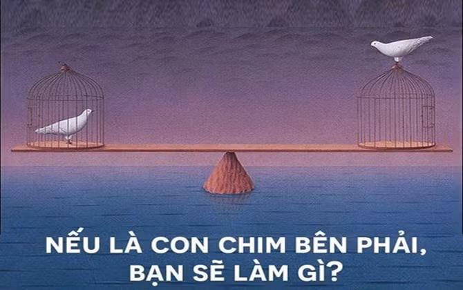 Này các chị, hạnh phúc không phải chỉ là chồng giỏi con ngoan