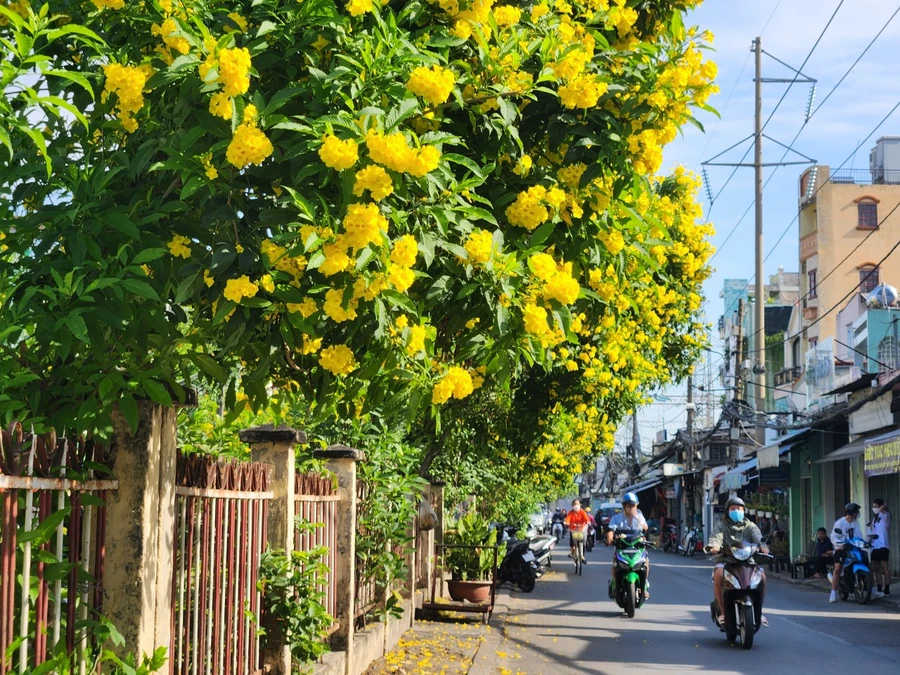 Phong trào “Đường tàu - Đường hoa” được ngành đường sắt phát động từ năm 2023. 