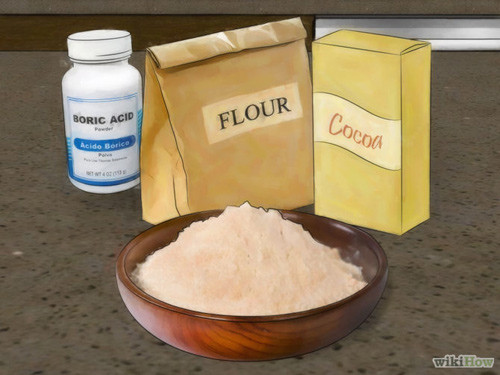 4 bước an toàn mà hiệu quả cho nhà sạch bóng gián ảnh 4 4 bước an toàn mà hiệu quả cho nhà sạch bóng gián - 4