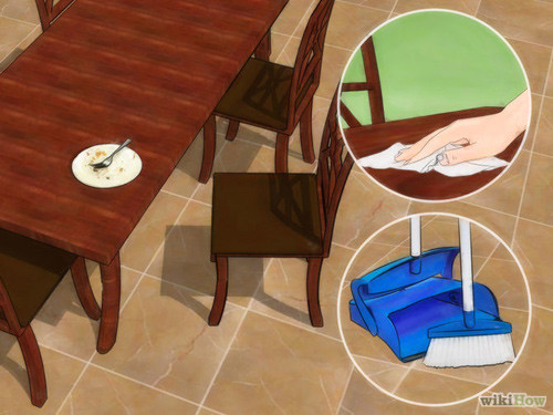 4 bước an toàn mà hiệu quả cho nhà sạch bóng gián ảnh 2 4 bước an toàn mà hiệu quả cho nhà sạch bóng gián - 2