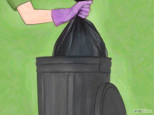 4 bước an toàn mà hiệu quả cho nhà sạch bóng gián ảnh 3 4 bước an toàn mà hiệu quả cho nhà sạch bóng gián - 3